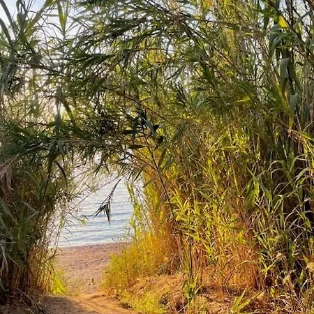 דירה A Nepita - 150m De La *