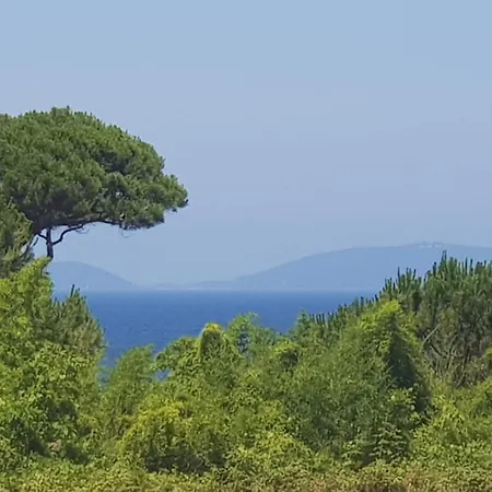 A Nepita - 150m De La דירה Pietrosella