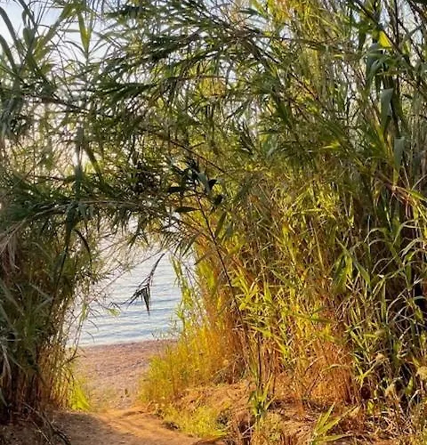 Daire A Nepita - 150m De La *