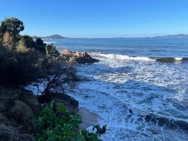 A Nepita - 150m De La * Pietrosella