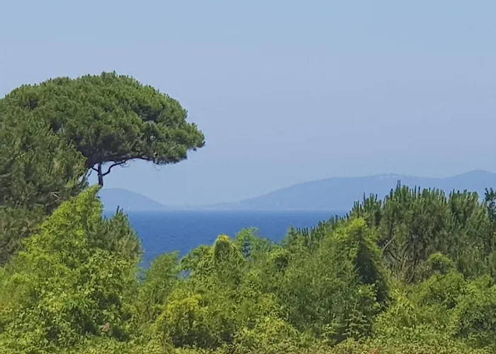 A Nepita - 150m De La Daire Pietrosella